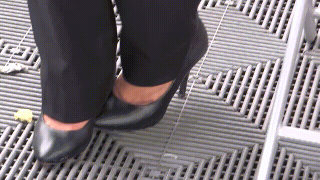 4.gif