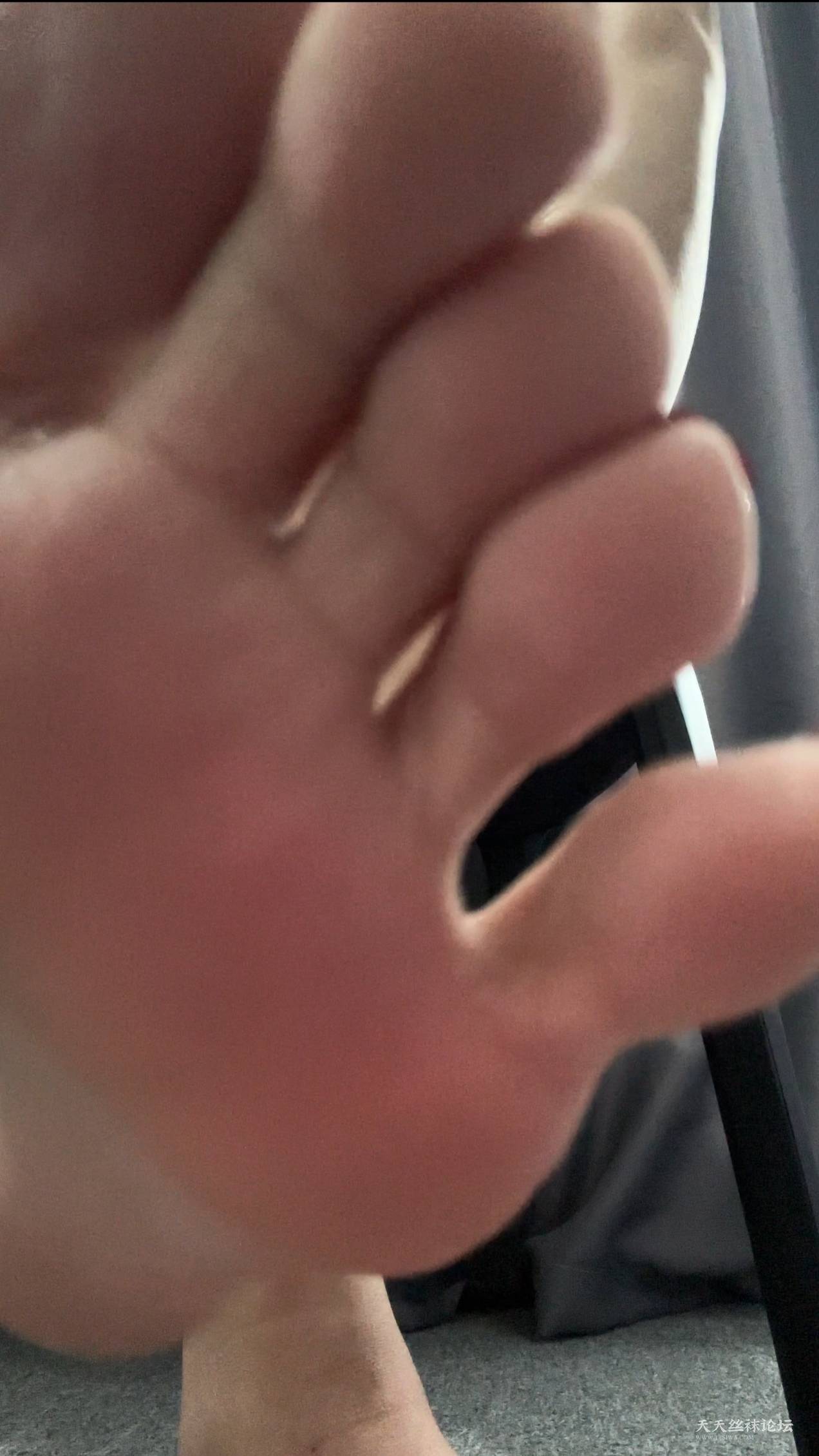 26375.jpg