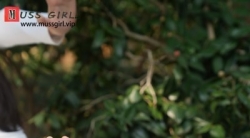 【裸足】来自越南的艺校舞蹈老师阿阮与我们在公园里谈笑间秀美足(1)【77P】